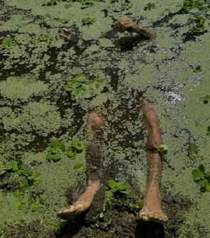 Amigos matam trabalhador com cerca de 30 golpes de faca e facão em Canapi