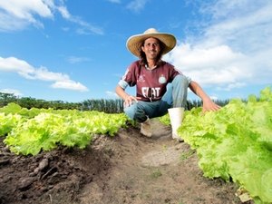 Estado investirá R$ 1 milhão em regularização fundiária em Alagoas