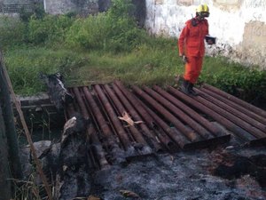 Cadáver é encontrado atrás da Casa de Saúde Miguel Couto