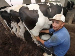 Recursos beneficiam mais de 4 mil pequenos produtores de leite