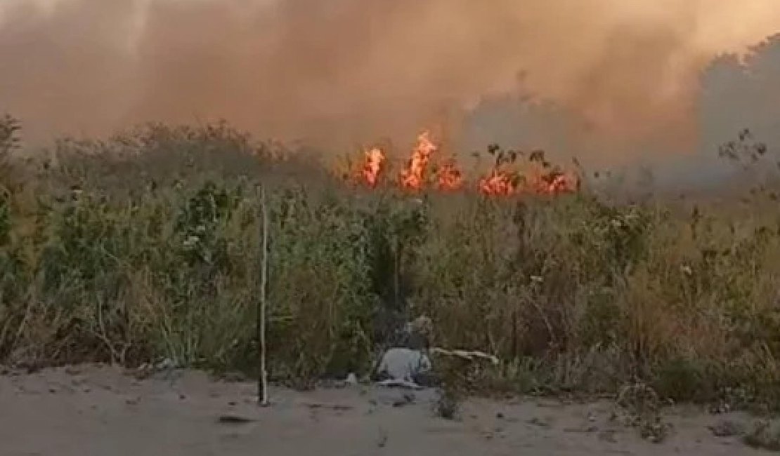 PM prende suspeito de provocar incêndio criminoso na Rota do Mar, em Maceió