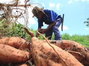 Iteral quer núcleos de atendimento do interior apoiando o homem do campo