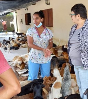 OAB Alagoas já recebeu 45 denúncias de maus-tratos a animais em 2025