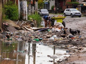 Leptospirose: veja orientações e cuidados para prevenir doença no período chuvoso