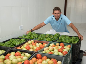 Incentivo à agricultura familiar beneficia milhares de limoeirenses