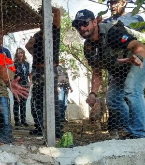 Viveiro clandestino de pássaros é encontrado em motel de Santana