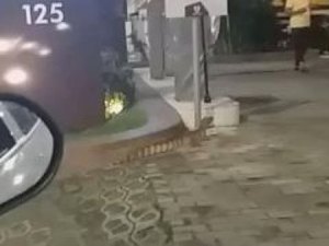 Jacaré é encontrado em frente a hipermercado, na Zona Sul de João Pessoa