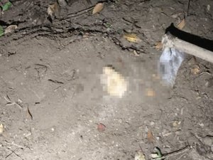 Corpo é encontrado enterrado em região de mata no bairro Santa Amélia