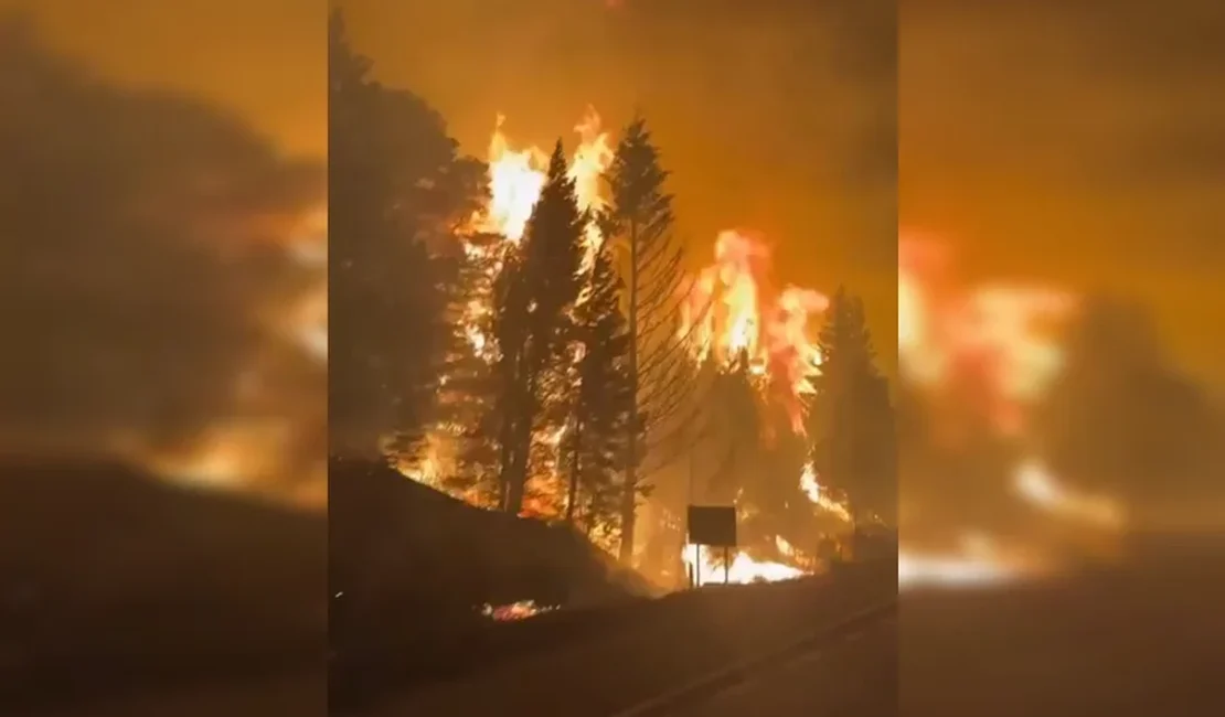 Incêndios florestais destroem 5.500 hectares na Patagônia argentina