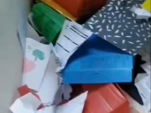 Documentos oficiais da prefeitura de Palmeira dos Índios são descartados em prédio abandonado