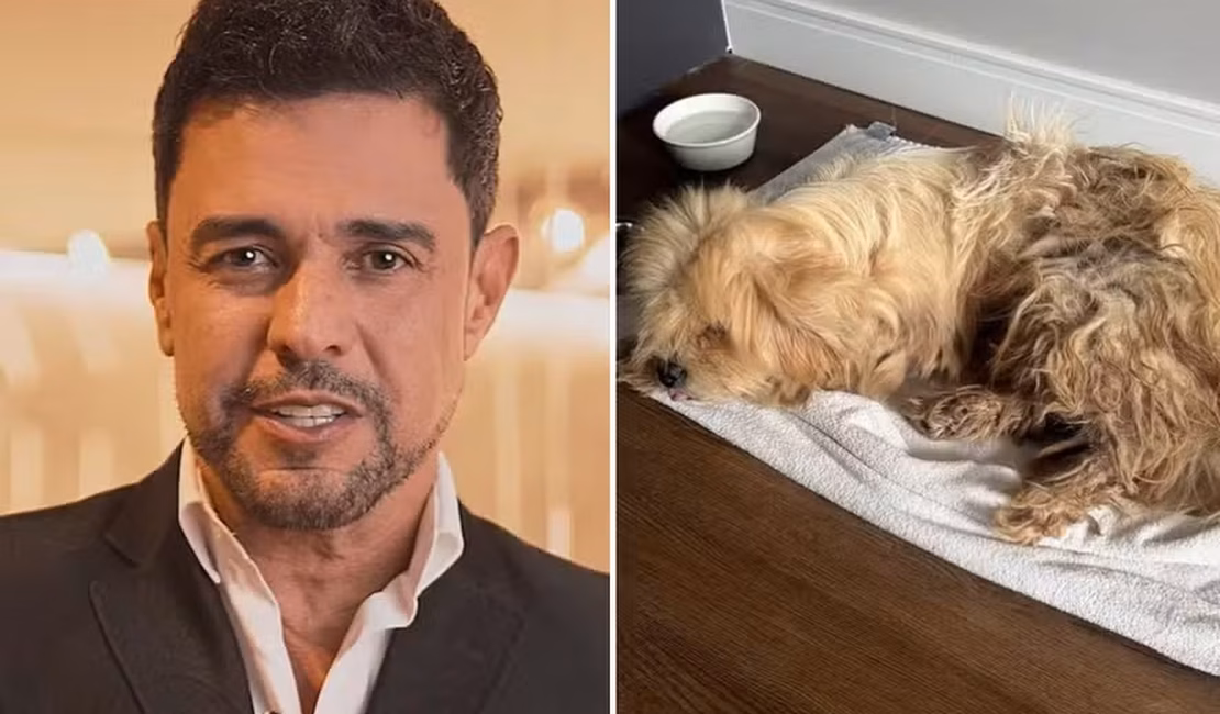 Zezé Di Camargo anuncia adoção de cachorro de rua encontrado em camarim