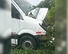 Van colide com dois cavalos soltos na pista em Maravilha, Alagoas