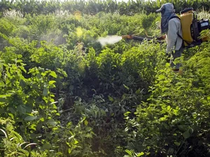 Governo vai monitorar presença de agrotóxico em bacias hidrográficas