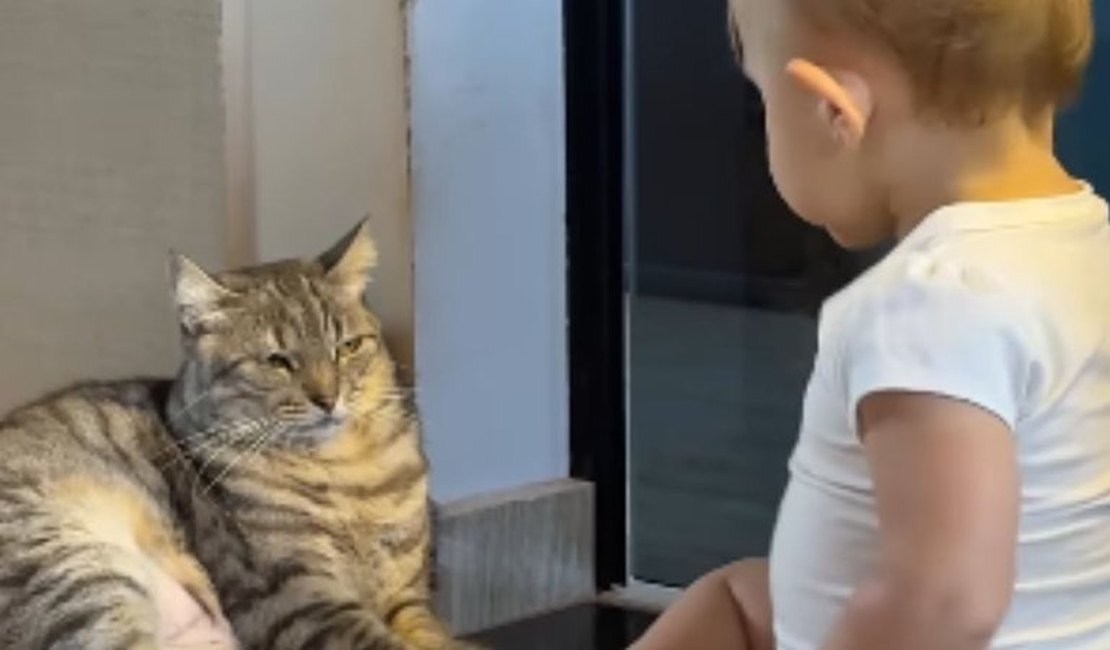 [Vídeo] Gata tem reação divertida após bebê 'conversar' com ela
