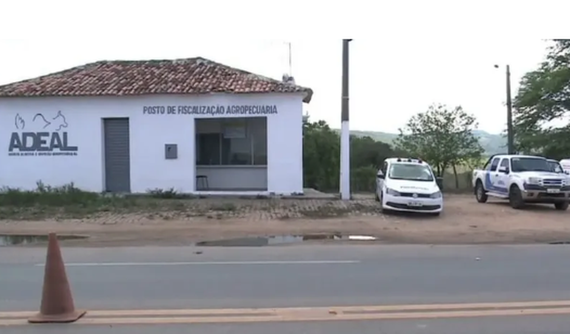 Adeal fiscaliza comercialização irregular de mudas de plantas em Maribondo com apoio do 10° BPM