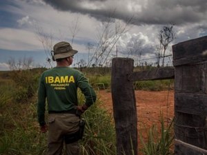Paralisação de multas ambientais gera debandada no Ibama e ICMBio