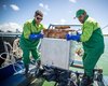 Ecoboats retiram 260 toneladas de resíduos do mar no 1º semestre de 2025