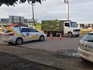 Carga irregular de 2.960 frangos vivos é apreendida no Agreste e Sertão 