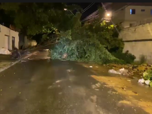 [Vídeo] Chuva forte derruba árvores e atrapalha trânsito no Jacintinho