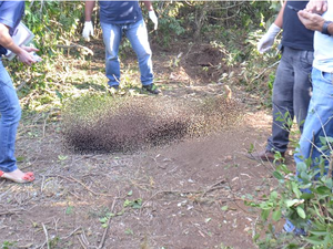 Corpo é encontrado com marcas de tiros em São Miguel dos Milagres