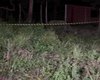 Homem é assassinado com golpes de facão e tiros em Marechal Deodoro