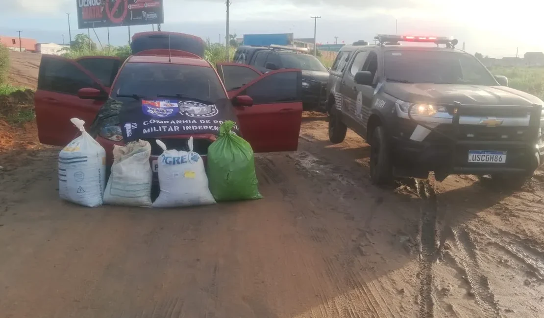 Dupla é presa transportando 35kg de maconha em São Miguel dos Campos