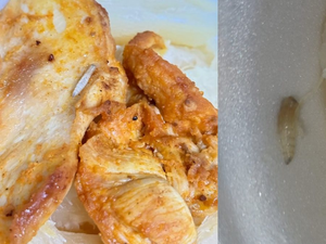 Defensoria cobra esclarecimentos após denúncia de larvas em comida em UPA