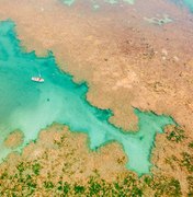 Projeto Corais de Alagoas avança no Litoral Norte do estado