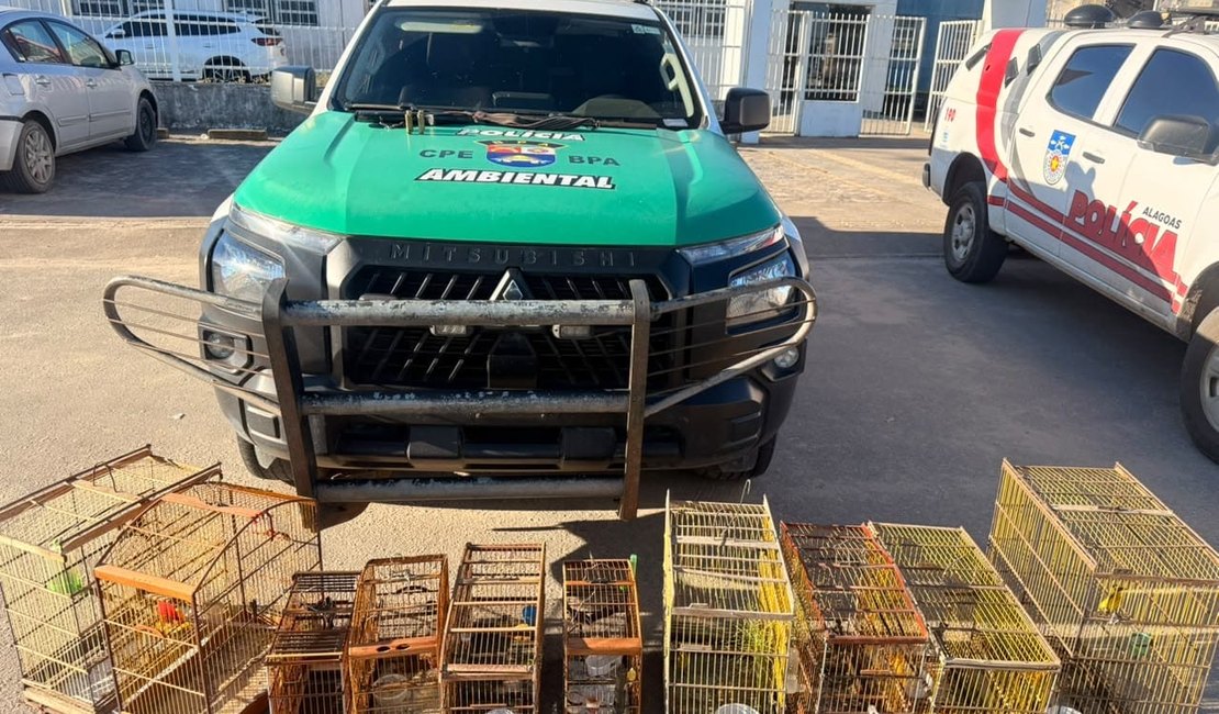 Armas de fogo e centenas de animais silvestres são apreendidos em operações do Batalhão de Polícia Ambiental