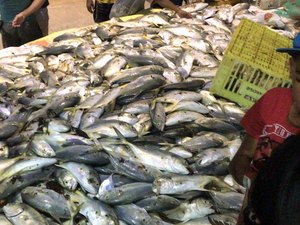 [Vídeo] Pescadores retiram grande quantidade de xaréu do mar da praia de Jatiúca