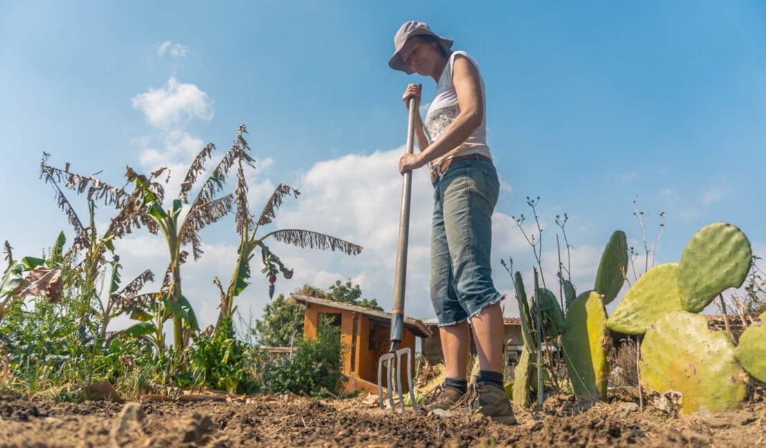 Mulheres agricultoras de Penedo são orientadas sobre programa de fomento às atividades produtivas rurais