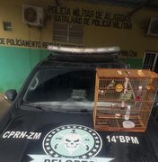 Homem que responde por tráfico é autuado por crime ambiental em Joaquim Gomes