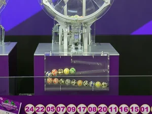 Aposta de Colônia Leopoldina leva prêmio de mais de R$ 2 milhões da Lotofácil