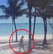 Videomonitoramento registra instante em que vândalo põe fogo na escultura ‘Boi-Bumbá’ no Jaraguá