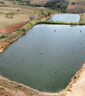 Criatório de camarões é notificado e tem prazo de 30 dias para adequação às normas ambientais