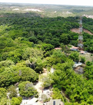 Polícia Científica pericia área de mata nativa incendiada em Japaratinga