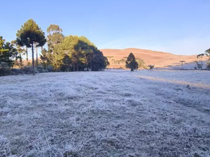 Cidades brasileiras registram recorde de frio nesta terça-feira (20)