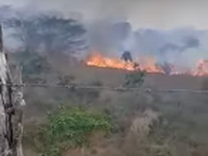 Fogo queima área de vegetação perto de rodovia em Feira Grande