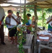 Programa Planta Alagoas consegue entregar sementes em todos os municípios