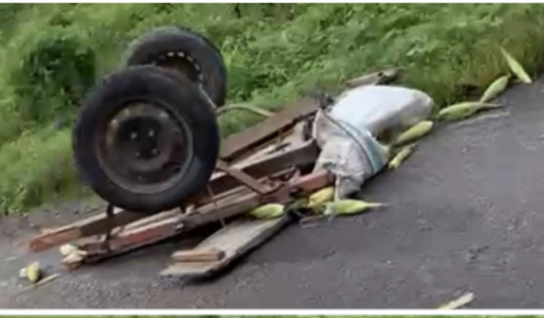 Idoso de 81 anos morre ao ser atingido por carreta enquanto atravessava BR em Água Branca