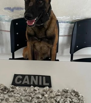 Cão farejador localiza drogas escondidas em obra no bairro Canafístula