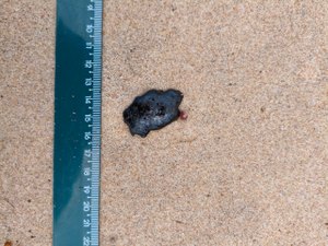 [Vídeo] Manchas de óleo são encontradas em praias do Litoral Norte de Maceió