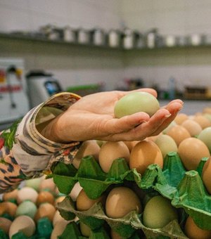 Educação promove seminário de avicultura e suinocultura dentro do Arapiraca Agroshow