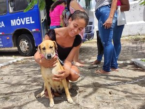 ‘Castra Pet’ realiza mais 40 castrações de cães e gatos no município de Penedo