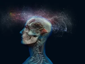 “Vídeo do peixinho” para controlar a ansiedade viraliza na web: veja