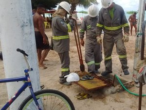 'Gatos' causam acidentes graves envolvendo redes de distribuição de energia 