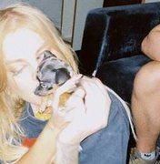 Luísa Sonza mostra nova cachorrinha: 'Britney Spinschers'
