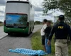 Mulher morre após ser atropelada por ônibus na BR-423, em Delmiro Gouveia