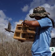 FPI 2023 realizou sua primeira soltura com 180 aves