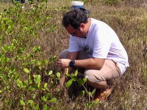 Deputado Davi Maia realiza plantio de mais de 1000 mudas de mangue